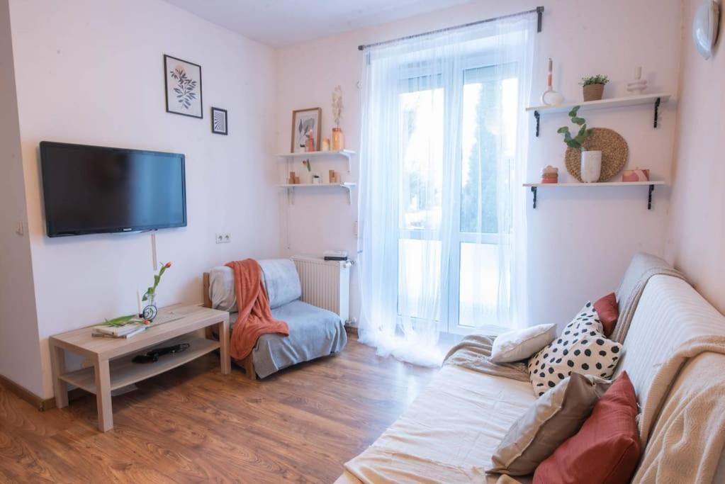 Home Studio Z Ogrodkiem I Altana Cracovia Esterno foto